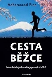 Obrázok Cesta běžce