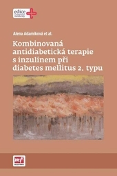 Obrázok Kombinovaná antidiabetická terapie