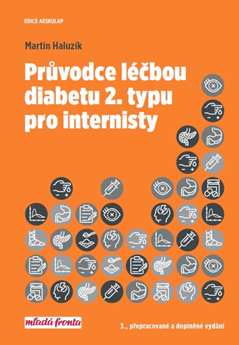 Obrázok Průvodce léčbou diabetu 2. typu pro internisty