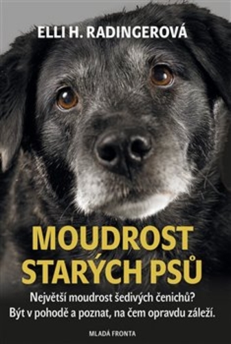 Obrázok Moudrost starých psů