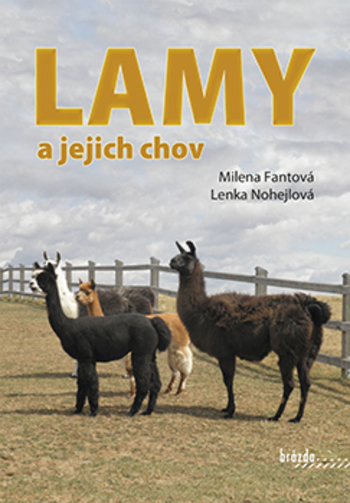 Obrázok Lamy a jejich chov