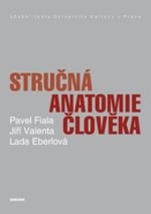 Obrázok Stručná anatomie člověka