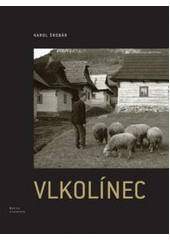 Obrázok Vlkolínec