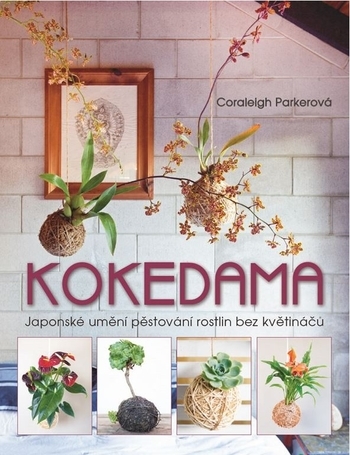 Obrázok Kokedama