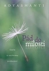 Obrázok Pád do milosti