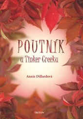 Obrázok Poutník u Tinker Creeku