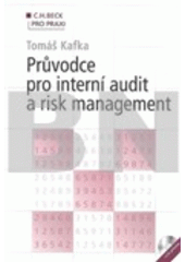 Obrázok Průvodce pro interní audit a risk management vč.CD