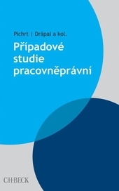 Obrázok Případové studie pracovněprávní