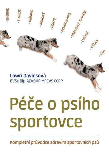 Obrázok Péče o psího sportovce