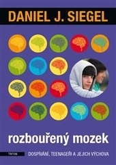 Obrázok Rozbouřený mozek dospívání, teenageři a jejich výchova