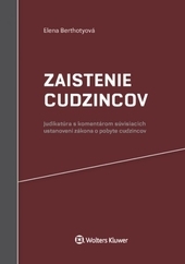 Obrázok Zaistenie cudzincov