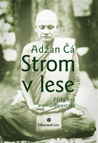 Obrázok Strom v lese - Příběhy a podobenství, dotisk