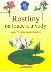 Obrázok Rostliny na louce a u vody