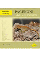 Obrázok Pagekoni rodu Rhacodactylus