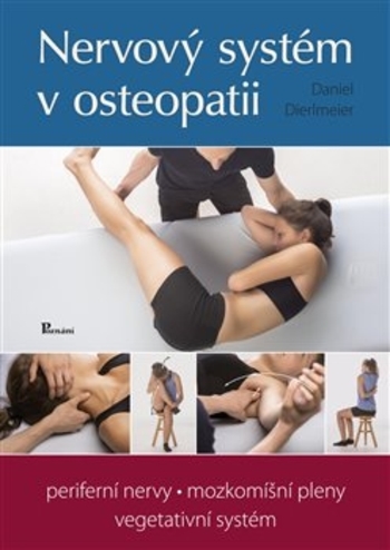 Obrázok Nervový systém v osteopatii