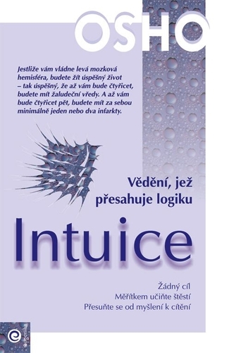 Obrázok Intuice