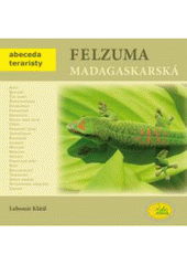 Obrázok Felsuma madagaskarská